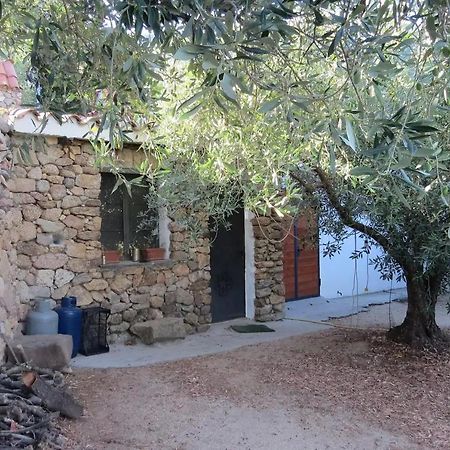 Casa In Campagna Hotel Dorgali Kültér fotó