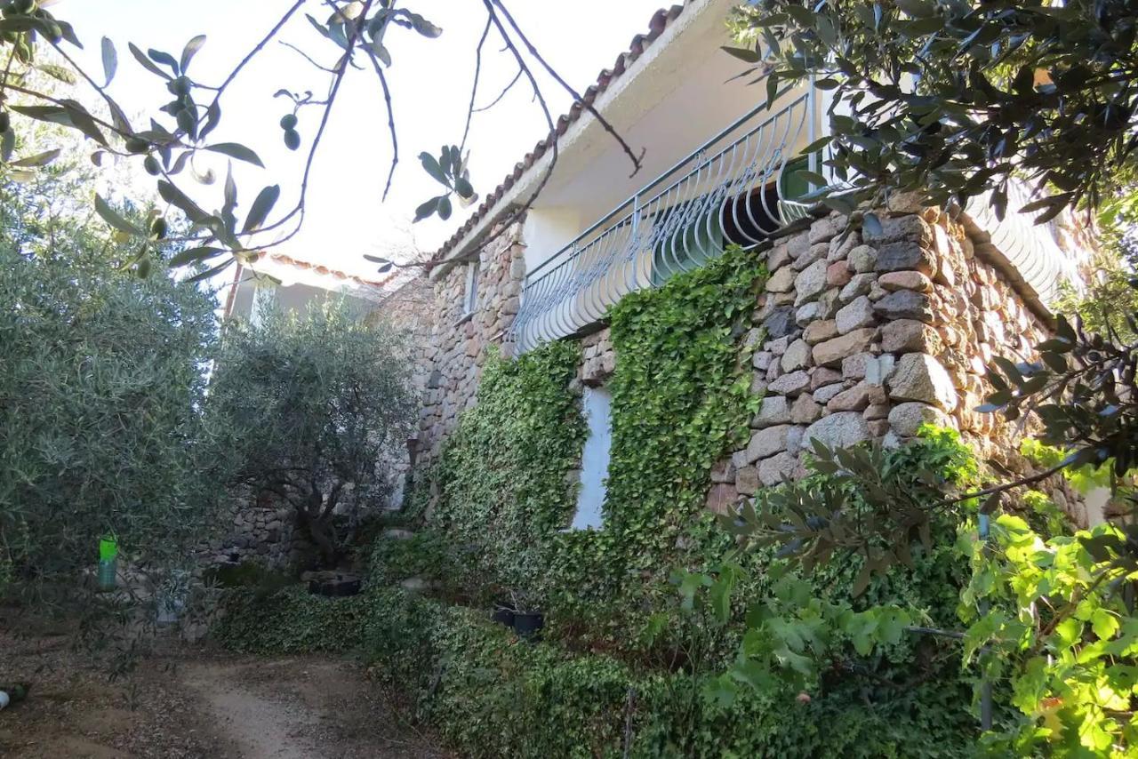 Casa In Campagna Hotel Dorgali Kültér fotó