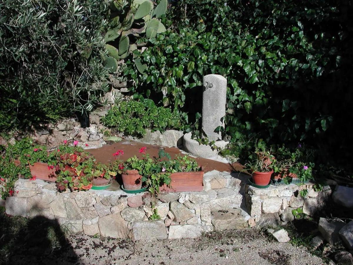 Casa In Campagna Hotel Dorgali Kültér fotó