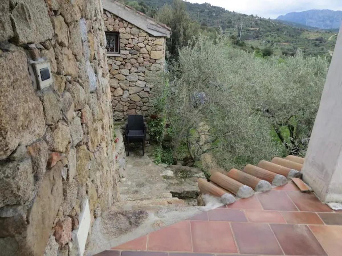 Casa In Campagna Hotel Dorgali Kültér fotó